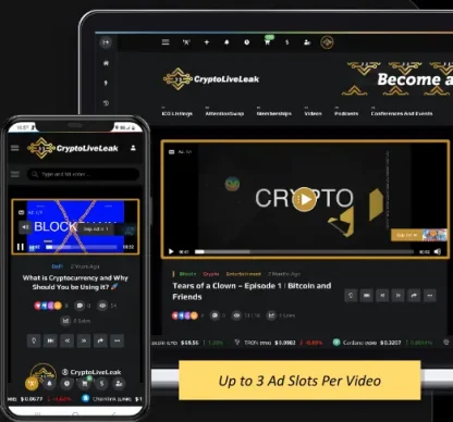 In-Video Advertising